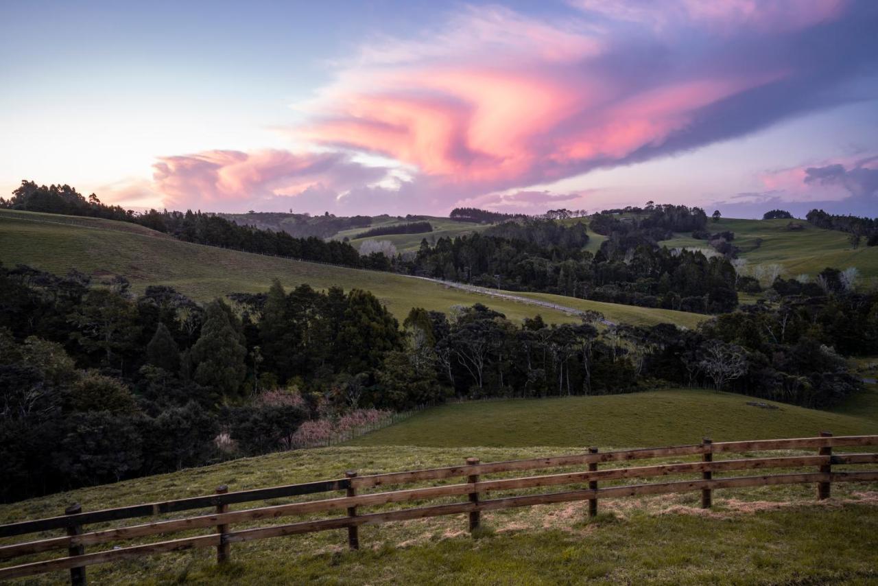 Kauri Glen Bnb Te Arai Eksteriør bilde