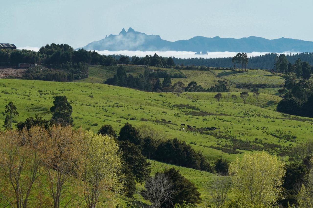 Kauri Glen Bnb Te Arai Eksteriør bilde